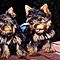 Gorgeous-looking-teacup-yorkie-puppies-for-adoption